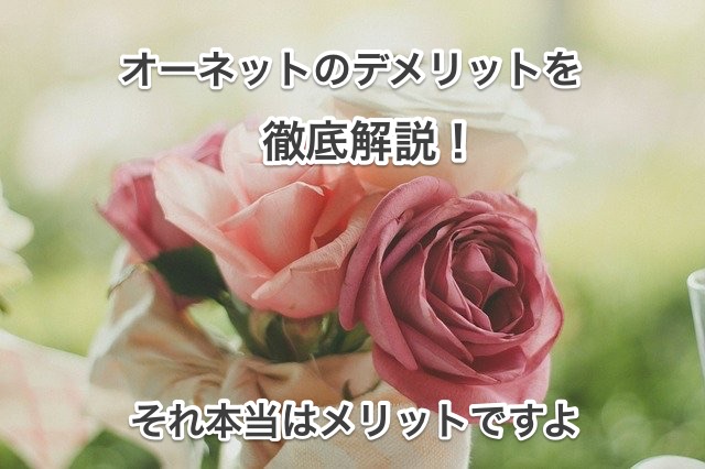 オーネットのデメリットのタイトル画像